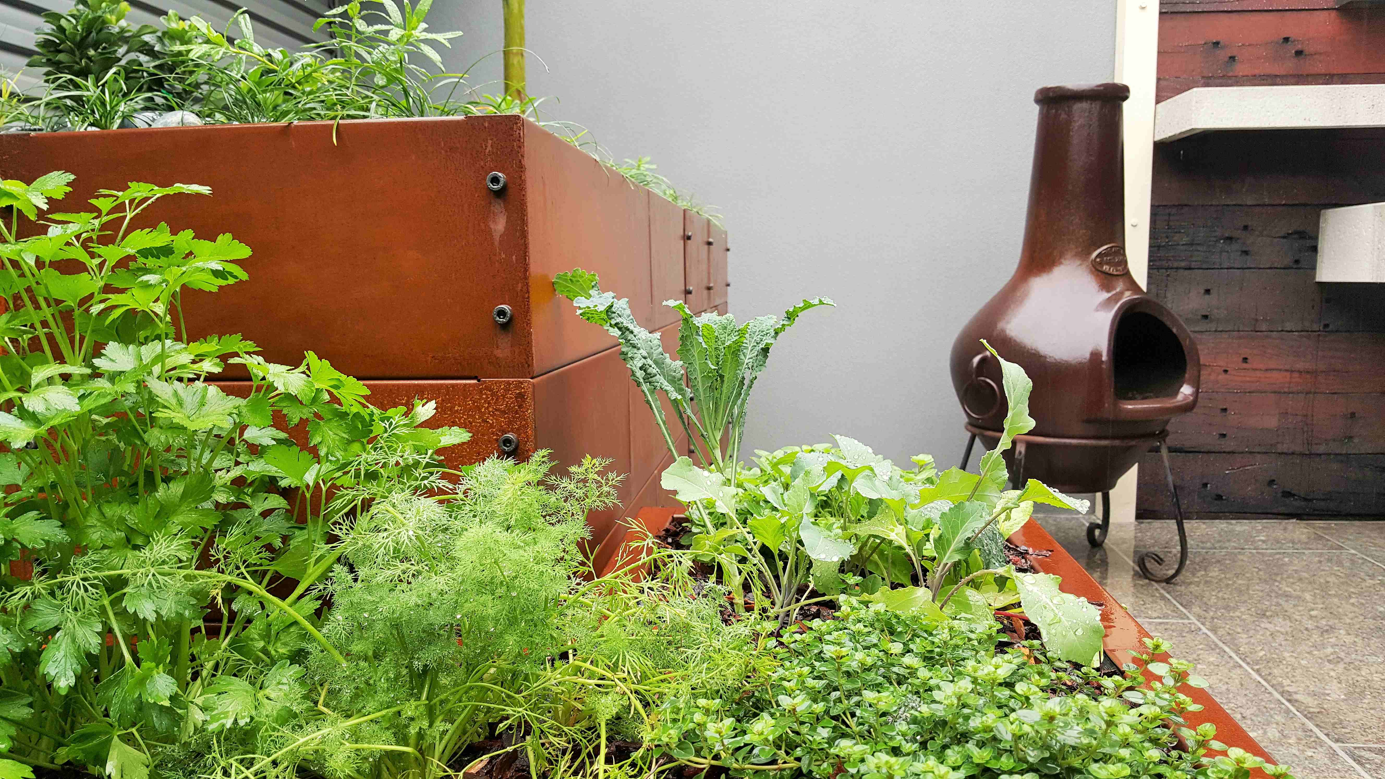 Residential Courtyard